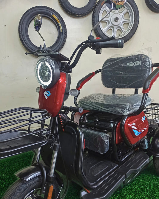 Triciclo eléctrico de paseo Mod. TM3