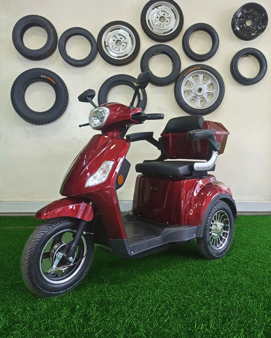 Triciclo eléctrico de paseo Mod. LRC