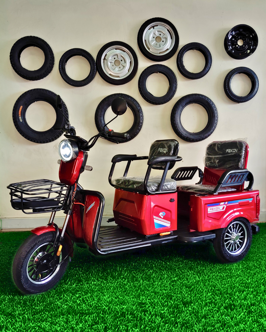 Triciclo de paseo convertible Modelo TP8